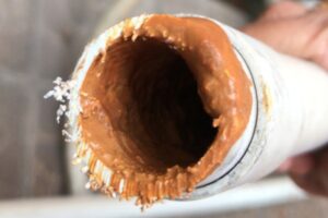 Bau Tak Sedap dari Kamar Mandi, Jangan Dianggap Sepele