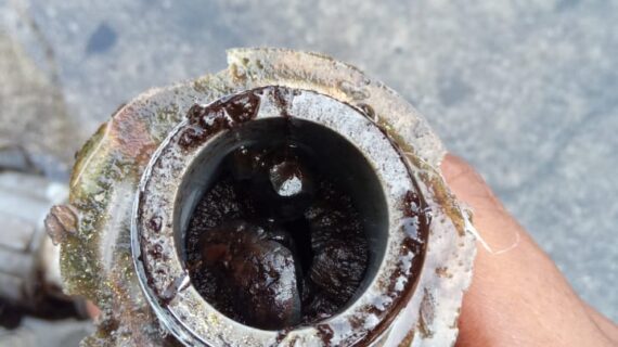 Kenapa Saluran Air Berbau di Bandung Saat Musim Hujan